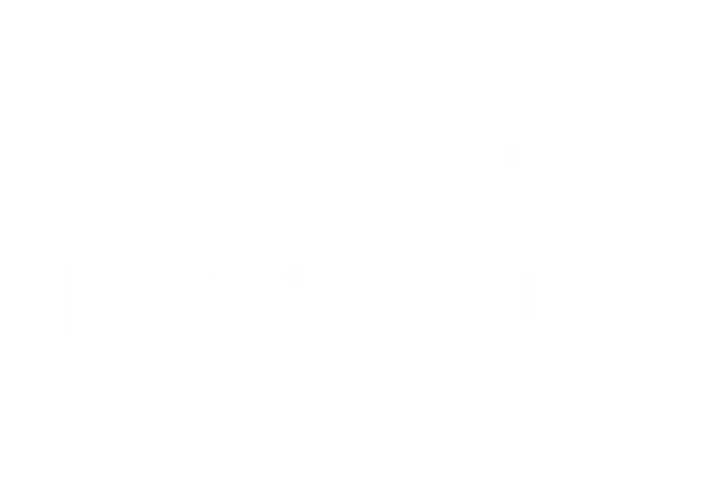 formuler Z8